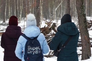 Экскурсия в Межреченский парк