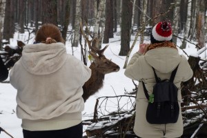 Экскурсия в Межреченский парк