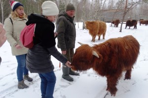 Экскурсия в Межреченский парк