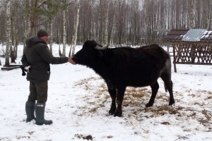 Экскурсия в Межреченский парк