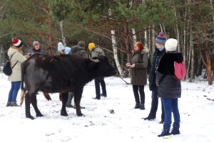 Экскурсия в Межреченский парк