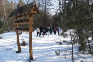 Экскурсия в Межреченский парк