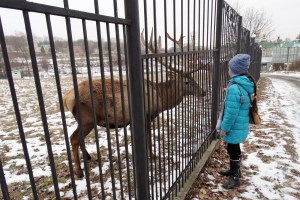Отель Радуга, Головчинцы
